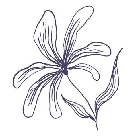 Design Png E Svg De Flor Desenhada M O Linda Para Camisetas