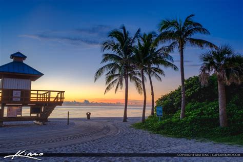 Sunny Isles Beach Sunrise Coconut Tree Lifeguard Tower Royal Stock Photo