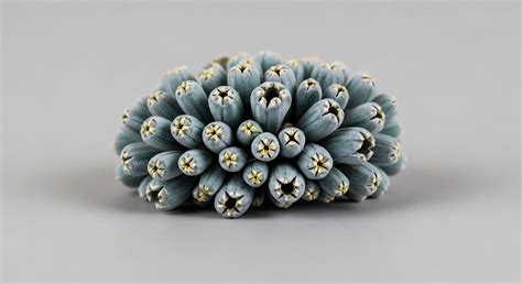 Explain the Difference between 'Financial Control' and 'Operational