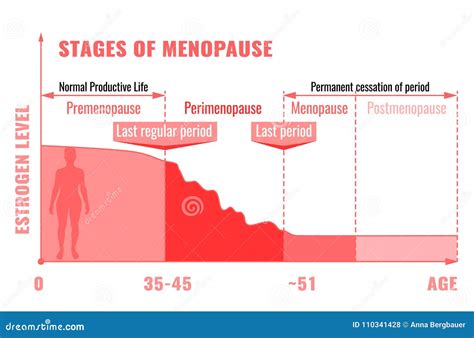 Etapas De La Menopausia Infographic Ilustración Del Vector