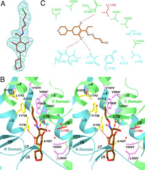 A Different Mechanism For The Inhibition Of The Carboxyltransferase