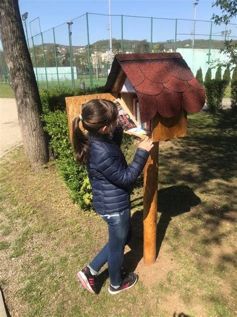 Ziua de Cluj Bibliotecă în aer liber în Parcul Babeș