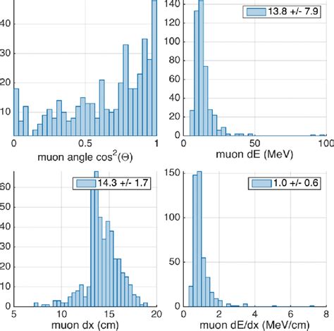 Preliminary Distributions Of Reconstructed Cosmic Ray Muon Parameters