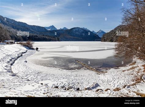 People on the frozen Alpsee in winter, Schwangau, Füssen, Allgäu Alps ...