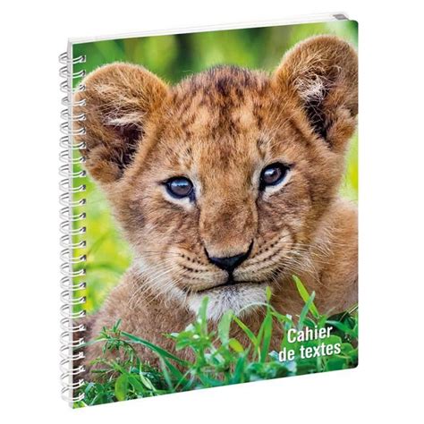 Cahier de textes à spirale EXACOMPTA Lionceau Blanc Enfant Mixte