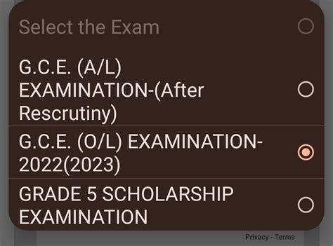 G C E A L Exam Results Released Online Doenets Lk