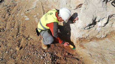 Aflora Una Cisterna Romana Bajo La Estructura Del Aljibe En El Antiguo