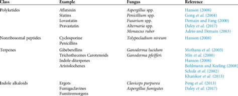 Classes Of The Main Pathway And Examples Of Fungal Secondary