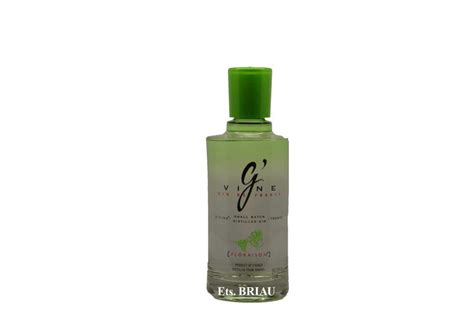 G VINE Floraison Briau Bordeaux