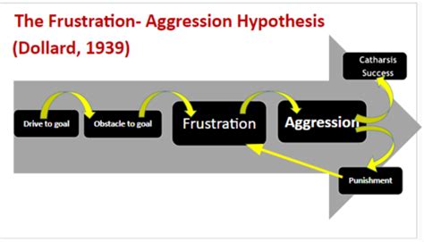 6 2 Anxiety Aggression Motivation Flashcards Quizlet