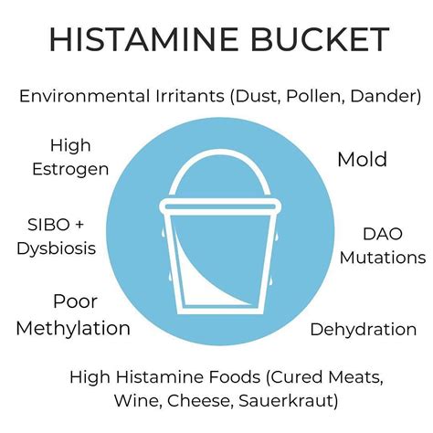 You Dont Have Allergies Your Histamine Bucket Is Just Full