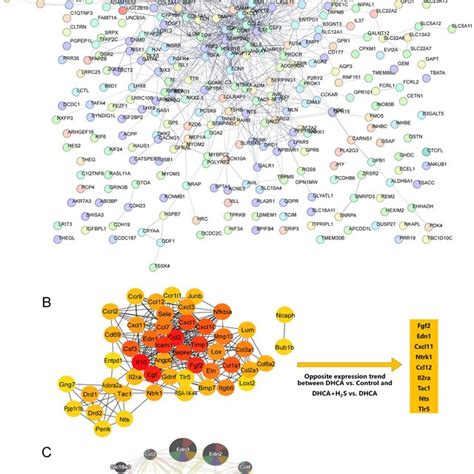 PPI Network Analysis A The PPI Network Of 477 Candidate Genes B The