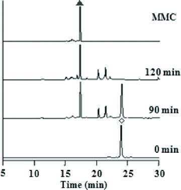 MMC release from FA-GFLG-MMC in the presence of cathepsin B monitored ...