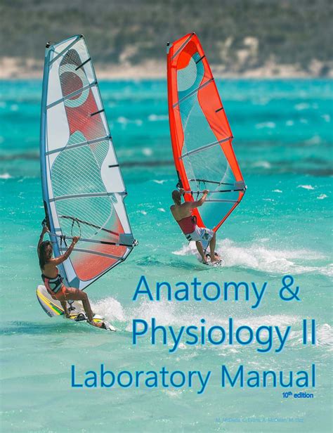 Anatomy And Physiology Ii Lab Manual 10th Edition Uni Section 01