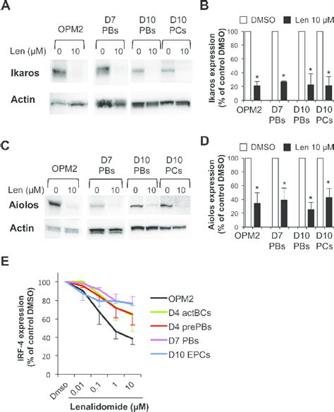 Ikaros Aiolos And Irf Are Expressed In Plasmablasts And Early Plasma