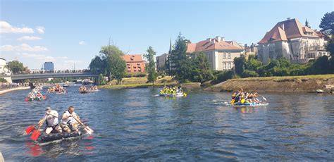 Festiwal Ster Na Bydgoszcz Aktualno Ci Pracodawcy Info Pl