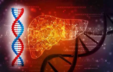 Gilbert's Syndrome GS; Causes, Symptoms, Diagnosis & Treatment