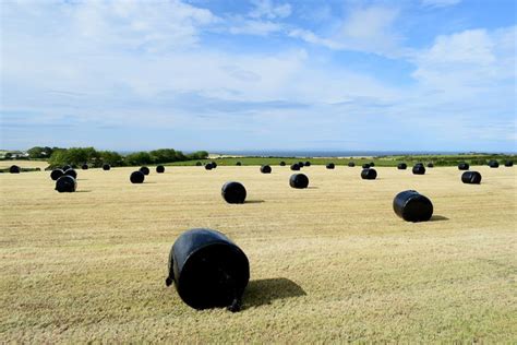 Silage Bales Artimacormick Kenneth Allen Cc By Sa Geograph