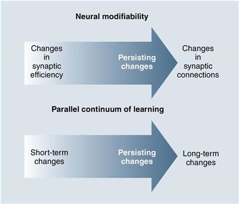 Motor Control Motor Learning And Neural Plasticity In Orthotic And