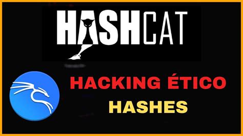 C Mo Usar Hashcat En Kali Linux Auditar La Seguridad De Un Hash