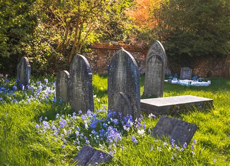 Tombstones at the old graveyard – free photo on Barnimages