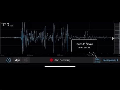 Heartbeat After Exercise YouTube