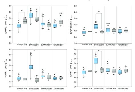 Concentrations Of ADP ATP And Total Adenylate Pool TAP