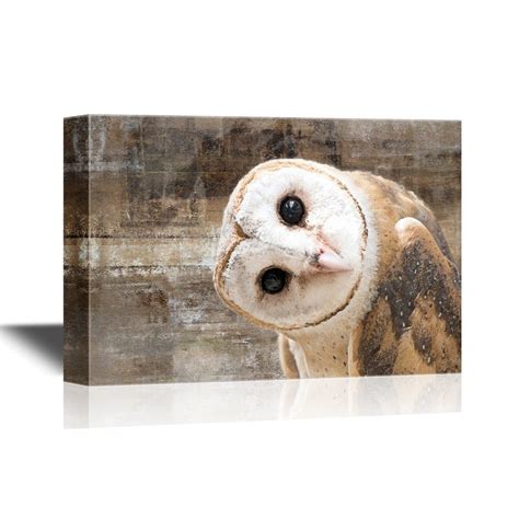 wall26 Canvas Wall Art - Common Barn Owl (Tyto Albahead) Head Close Up ...