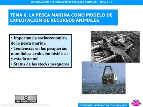 PPT TEMA 6 LA PESCA MARINA COMO MODELO DE EXPLOTACIÓN DE RECURSOS