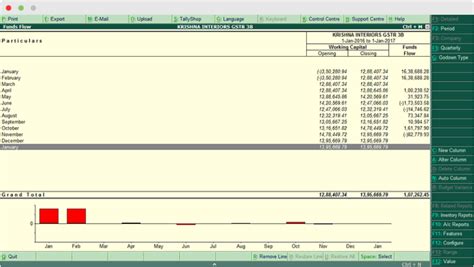 Tally Erp Reports Funds Flow Summary