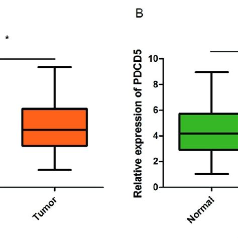 Upregulated Mirna A P And Downregulated Pdcd In Npc A B Relative