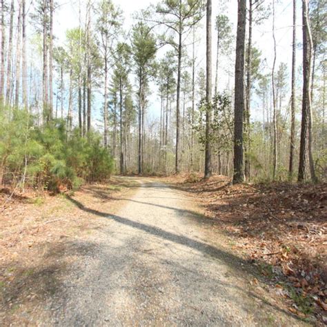 Old Mill Bicycle B Terrain360