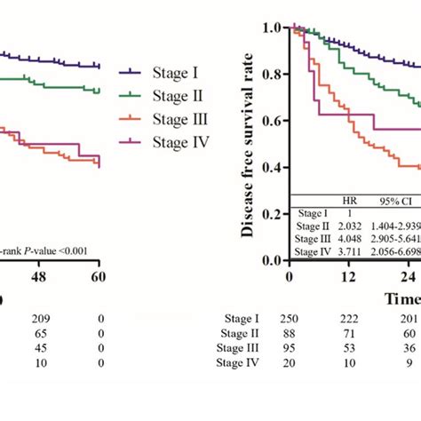 Overall Survival And Disease Free Survival According To Pathological