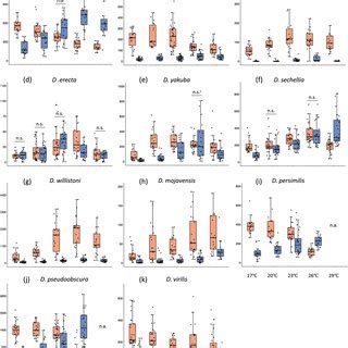 Daytime And Nighttime Locomotor Activity Of Drosophila Species At