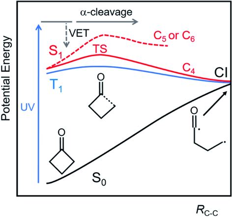 Schematic Diagram Of Cuts Through The Lowest Lying Potential Energy