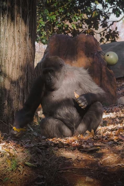 Desi+Hd+Mms Videos, Download The BEST Free 4k Stock Video Footage