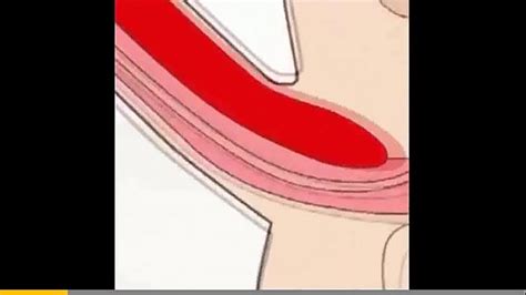 Jaxx Thanatos Model Page XVIDEOS