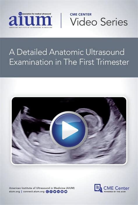 How To Perform A Detailed Anatomic Ultrasound Examination In The First