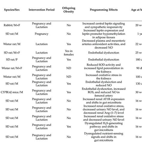 Programming Effects Of Maternal High Fat Diet On Offspring Hypertension