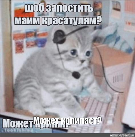 Создать мем мемы с котами котики смешные кот Картинки Meme