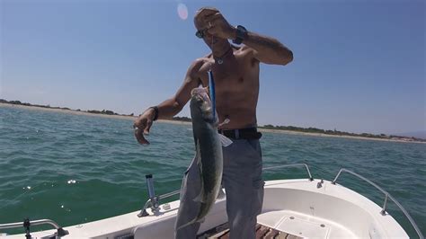 Breve Storia Di Una Spigola Pesca A Spinning In Mare Dalla Barca