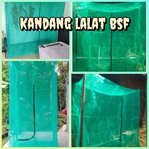 Kandang Bsf L Xp Xt Jaring Lalat Maggot Portable Lazada Indonesia