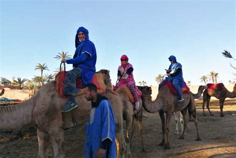 Marrakech: Camel Ride in the Oasis Palmeraie | GetYourGuide