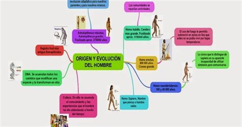 La Evoluci N Del Hombre Mapa Mental Origen Y Evoluci N Del Hombre The