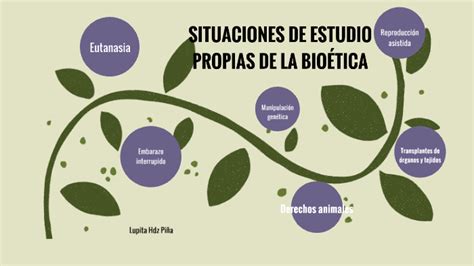 Situaciones De Estudio De La Bio Tica By Lupita Hern Ndez On Prezi