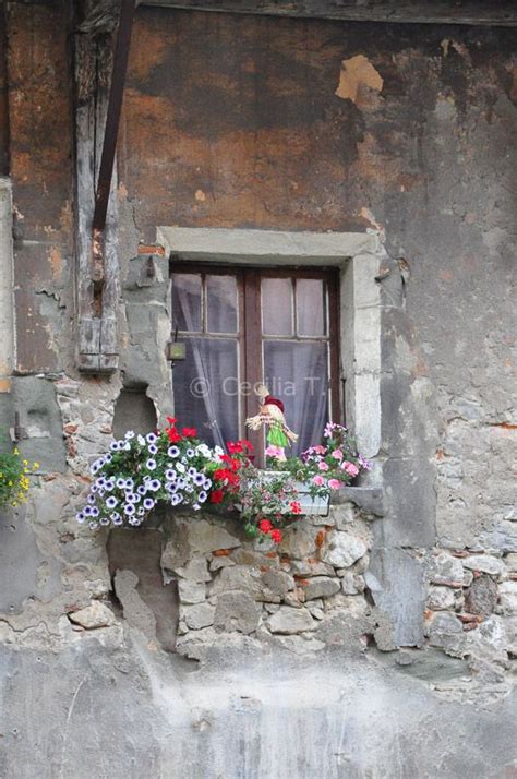 Pin By Colleen Blackford On Doors Window Scenes Rustic Doors Windows