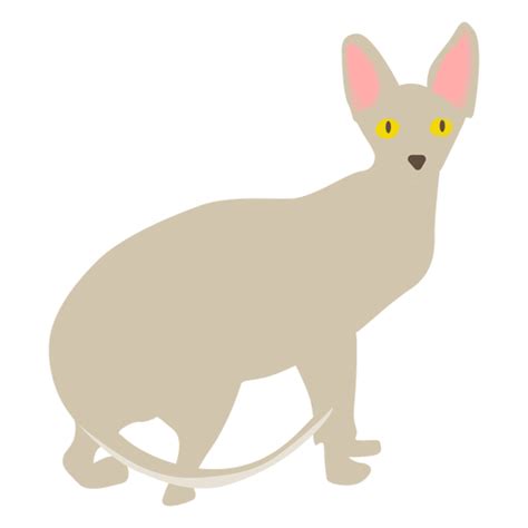 Sphynx Cat Illustration Png And Svg Design For T Shirts