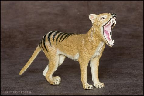 Southlands Replicas Thylacine The Toy Walkaround By Kikimalou