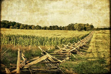 Antietam The Cornfield This View Has The East Woods In T Flickr