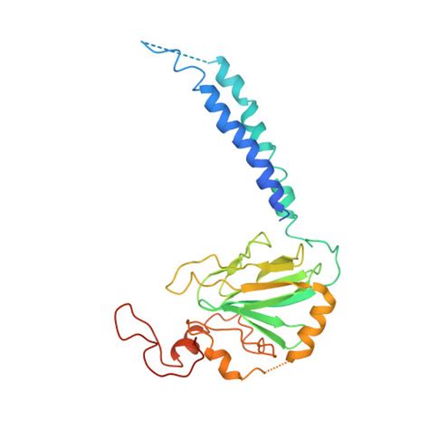 Rcsb Pdb Kob X Ray Structure Of The Proton Pumping Cytochrome Aa